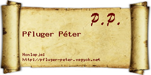 Pfluger Péter névjegykártya